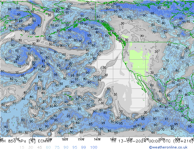 RV 850 hPa ECMWF do 13.06.2024 00 UTC