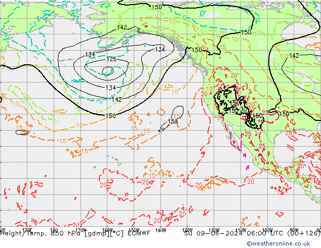 Z500/Rain (+SLP)/Z850 ECMWF Su 09.06.2024 06 UTC