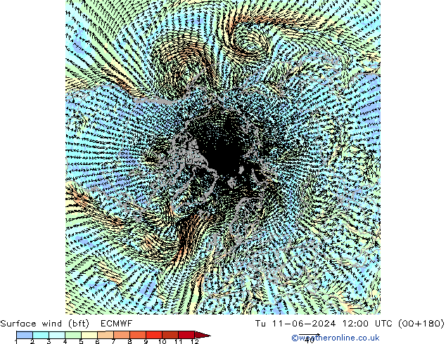 Surface wind (bft) ECMWF Tu 11.06.2024 12 UTC