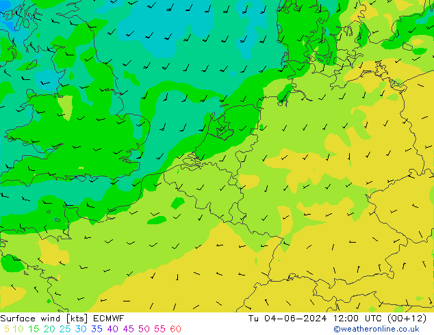 Bodenwind ECMWF Di 04.06.2024 12 UTC