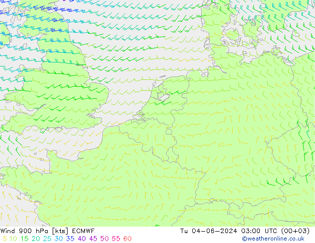 Vent 900 hPa ECMWF mar 04.06.2024 03 UTC