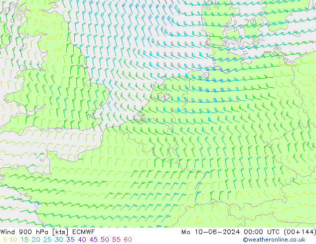 Rüzgar 900 hPa ECMWF Pzt 10.06.2024 00 UTC