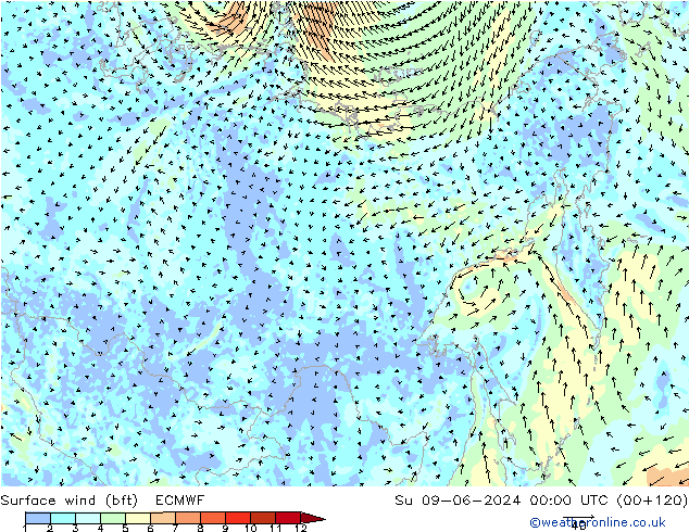 Bodenwind (bft) ECMWF So 09.06.2024 00 UTC