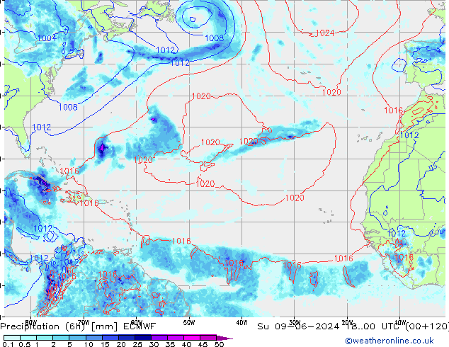 Z500/Rain (+SLP)/Z850 ECMWF dom 09.06.2024 00 UTC