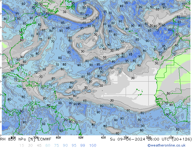 850 hPa Nispi Nem ECMWF Paz 09.06.2024 06 UTC