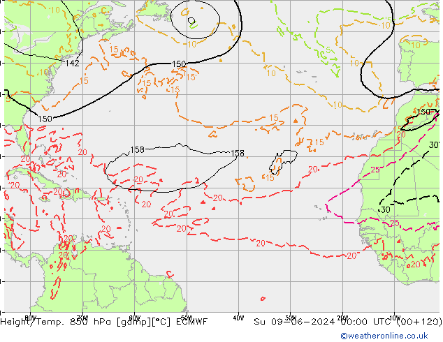 Z500/Rain (+SLP)/Z850 ECMWF dom 09.06.2024 00 UTC