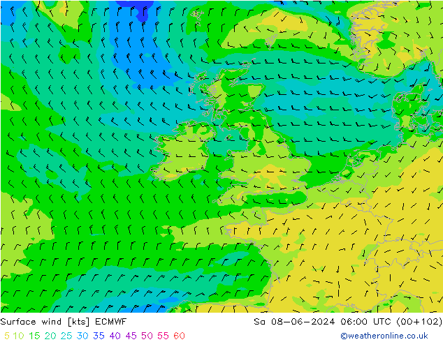 Viento 10 m ECMWF sáb 08.06.2024 06 UTC