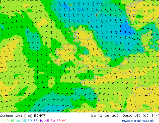 Rüzgar 10 m ECMWF Pzt 10.06.2024 00 UTC