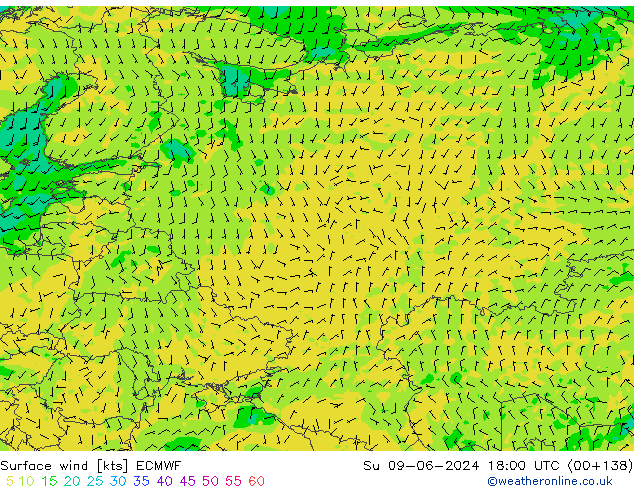 Wind 10 m ECMWF zo 09.06.2024 18 UTC