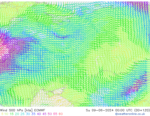 Wind 500 hPa ECMWF zo 09.06.2024 00 UTC