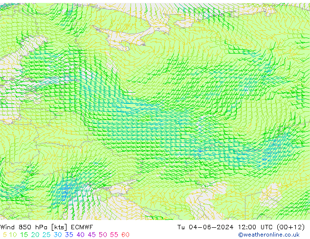 Vento 850 hPa ECMWF mar 04.06.2024 12 UTC