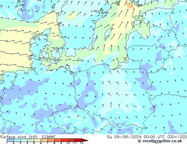 Vento 10 m (bft) ECMWF Dom 09.06.2024 00 UTC