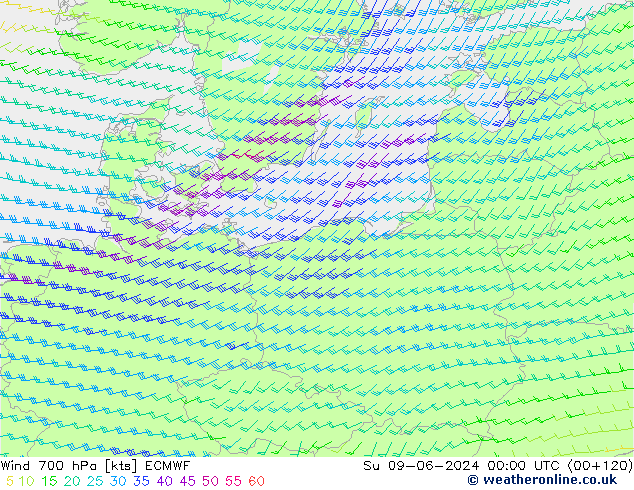 Viento 700 hPa ECMWF dom 09.06.2024 00 UTC