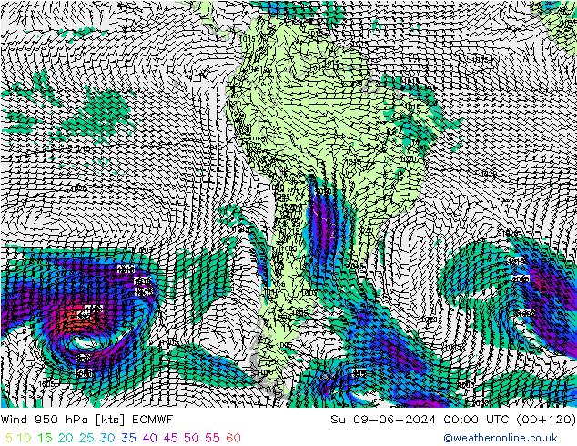 Vento 950 hPa ECMWF dom 09.06.2024 00 UTC