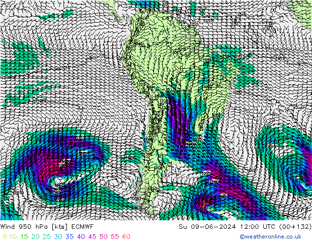  950 hPa ECMWF  09.06.2024 12 UTC