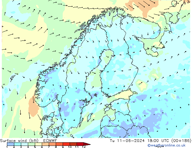 Vento 10 m (bft) ECMWF Ter 11.06.2024 18 UTC