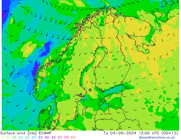 Surface wind ECMWF Tu 04.06.2024 12 UTC