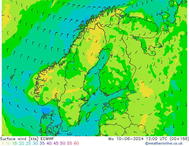 Wind 10 m ECMWF ma 10.06.2024 12 UTC