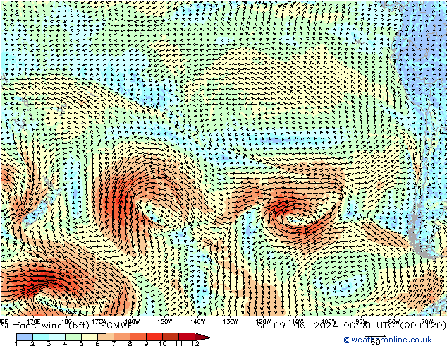 Vento 10 m (bft) ECMWF Dom 09.06.2024 00 UTC