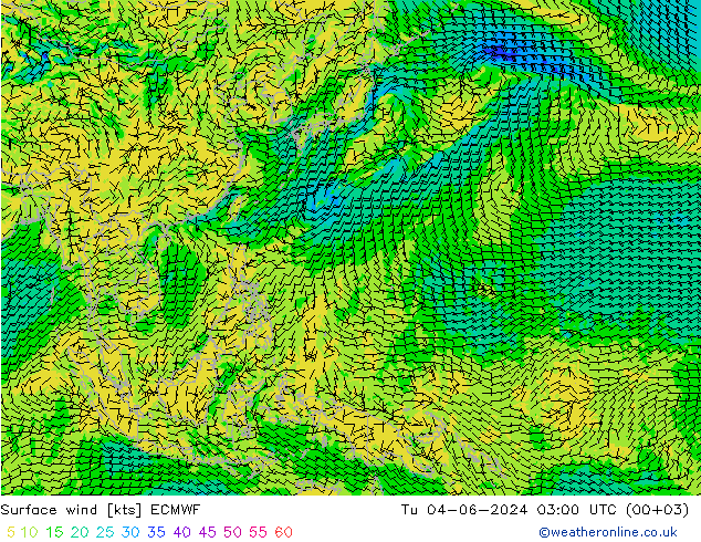 ветер 10 m ECMWF вт 04.06.2024 03 UTC