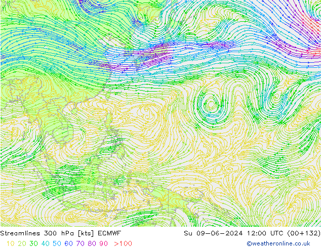 Ligne de courant 300 hPa ECMWF dim 09.06.2024 12 UTC