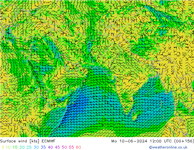 Surface wind ECMWF Po 10.06.2024 12 UTC