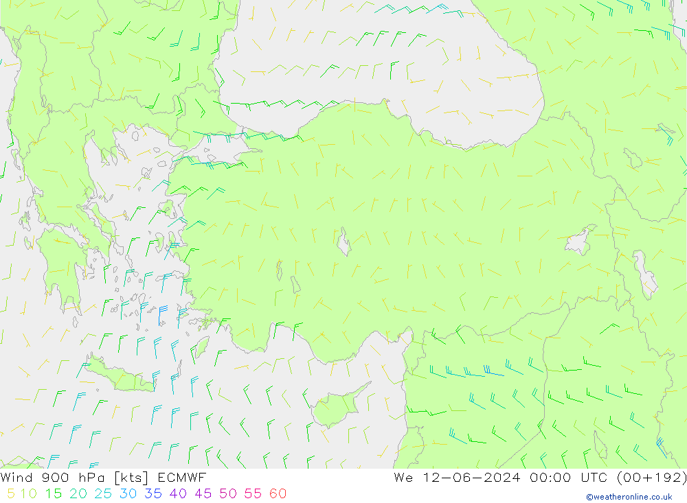  900 hPa ECMWF  12.06.2024 00 UTC