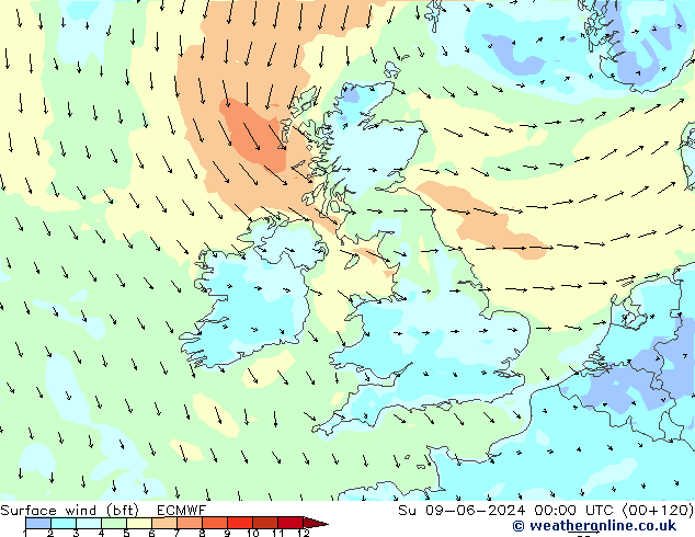 Surface wind (bft) ECMWF Su 09.06.2024 00 UTC