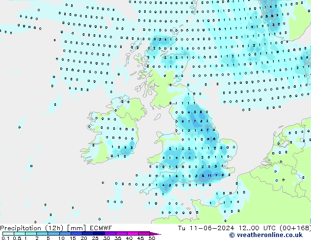 Precipitation (12h) ECMWF Út 11.06.2024 00 UTC