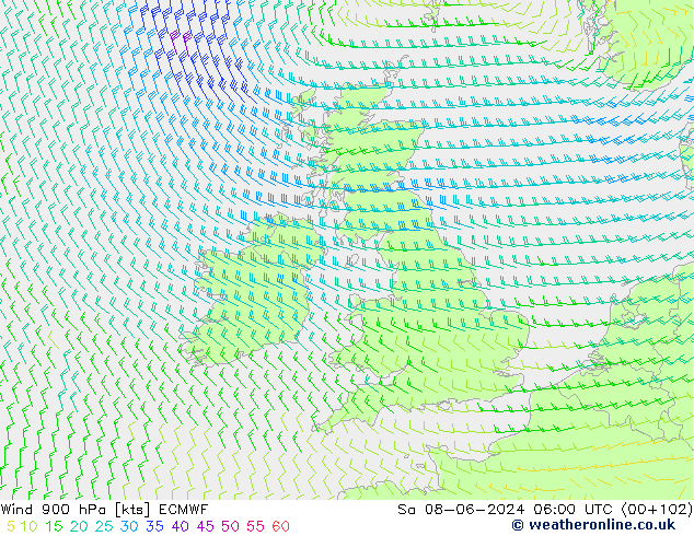 Wind 900 hPa ECMWF Sa 08.06.2024 06 UTC