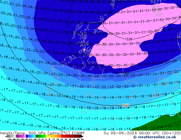 Height/Temp. 500 hPa ECMWF Su 09.06.2024 00 UTC