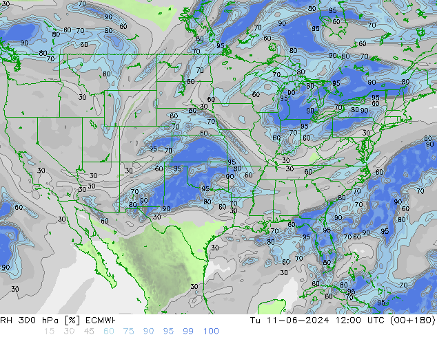 RH 300 hPa ECMWF Tu 11.06.2024 12 UTC