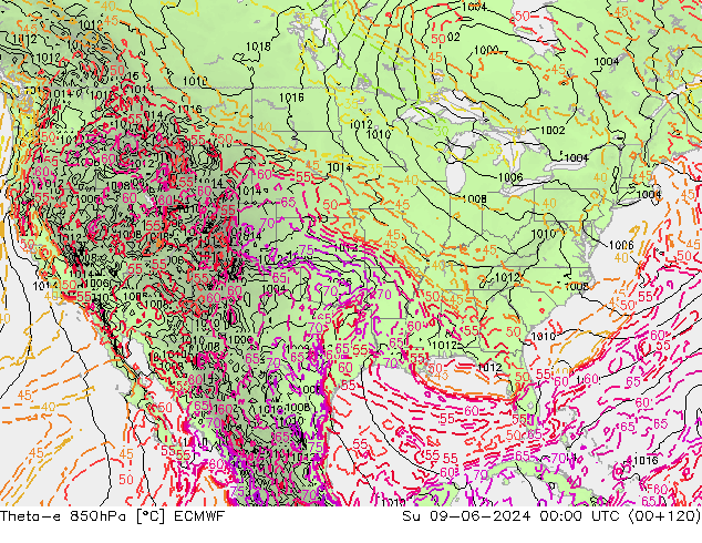 Theta-e 850hPa ECMWF Su 09.06.2024 00 UTC