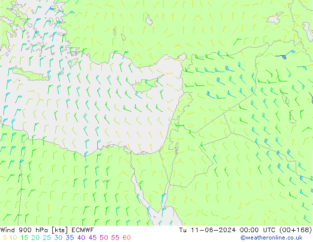 Wind 900 hPa ECMWF Tu 11.06.2024 00 UTC