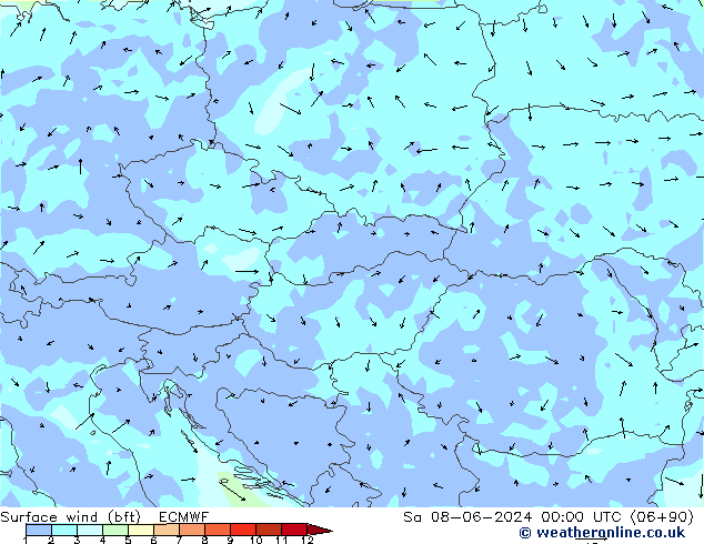 Surface wind (bft) ECMWF So 08.06.2024 00 UTC