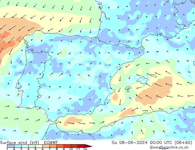  10 m (bft) ECMWF  08.06.2024 00 UTC