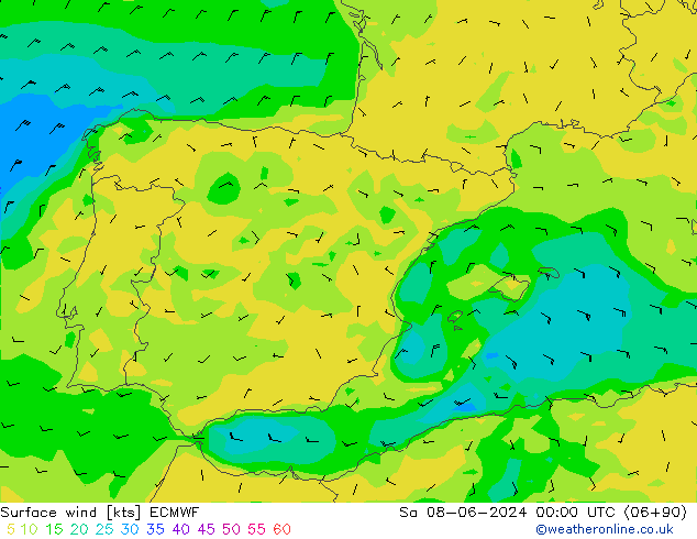 ветер 10 m ECMWF сб 08.06.2024 00 UTC