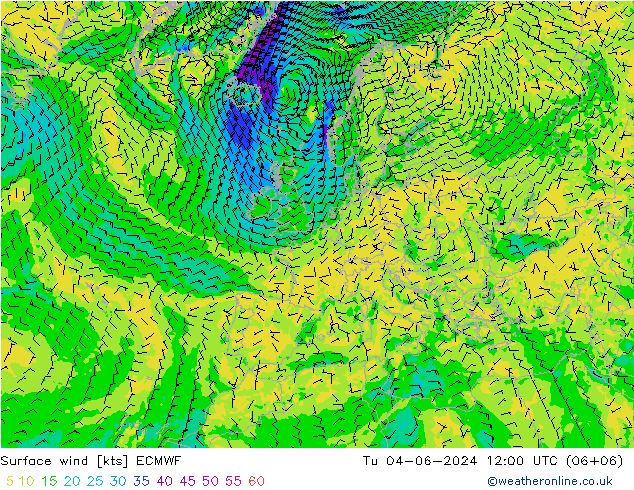 ветер 10 m ECMWF вт 04.06.2024 12 UTC