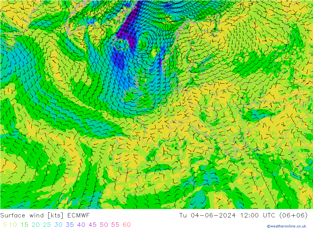 Bodenwind ECMWF Di 04.06.2024 12 UTC