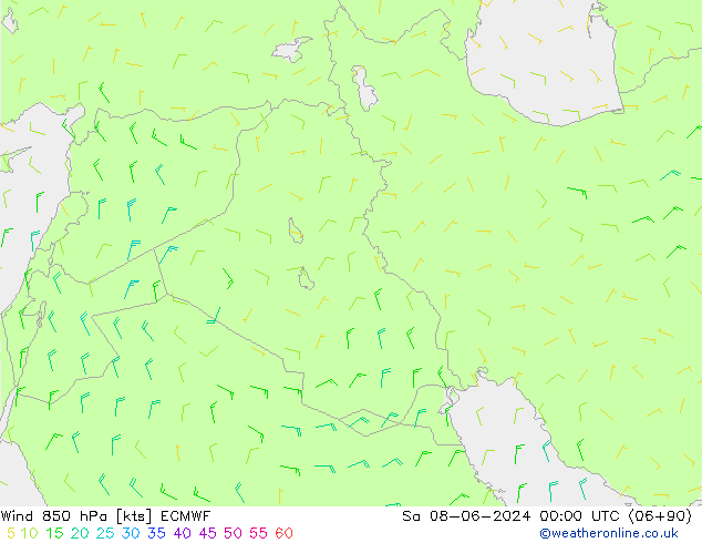 wiatr 850 hPa ECMWF so. 08.06.2024 00 UTC