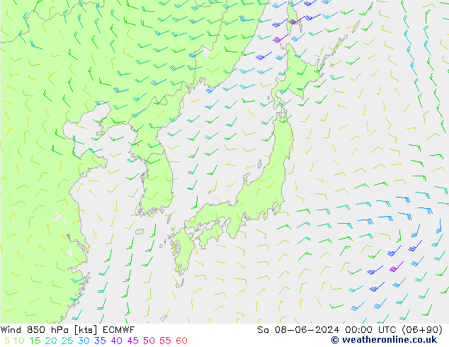 ветер 850 гПа ECMWF сб 08.06.2024 00 UTC