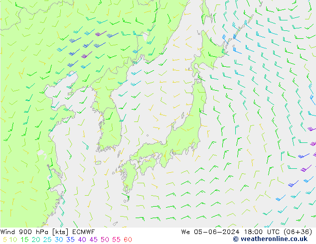 Vent 900 hPa ECMWF mer 05.06.2024 18 UTC