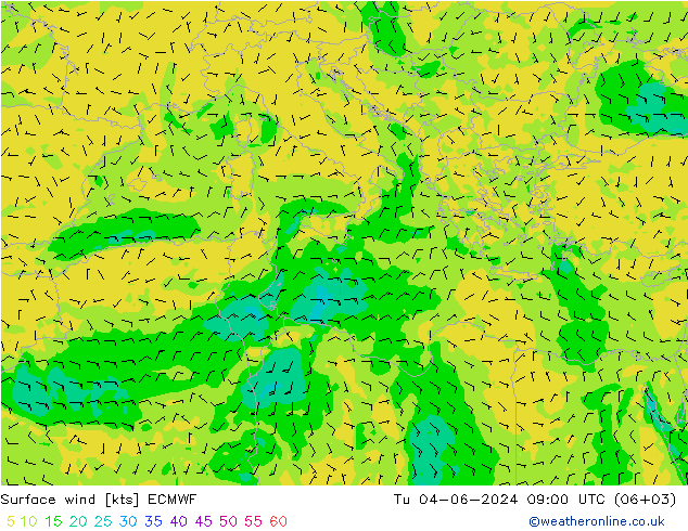 Surface wind ECMWF Út 04.06.2024 09 UTC