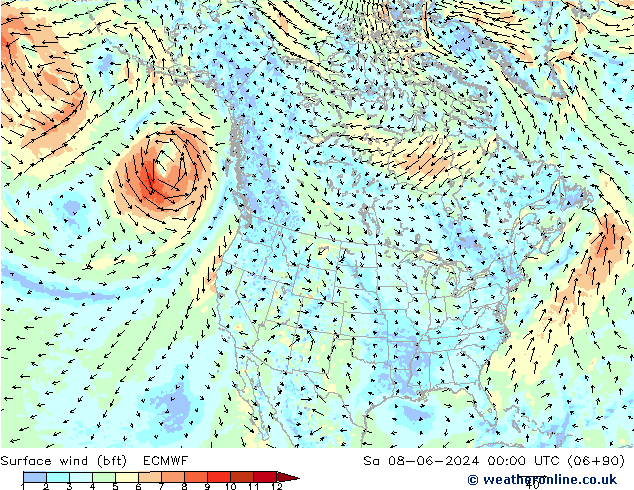 Bodenwind (bft) ECMWF Sa 08.06.2024 00 UTC