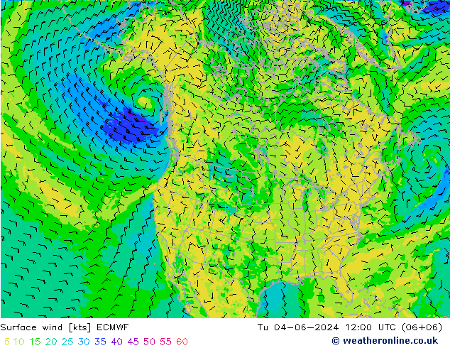 Bodenwind ECMWF Di 04.06.2024 12 UTC