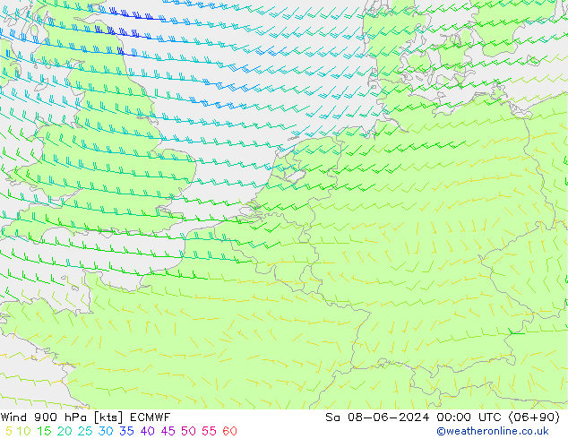 Viento 900 hPa ECMWF sáb 08.06.2024 00 UTC