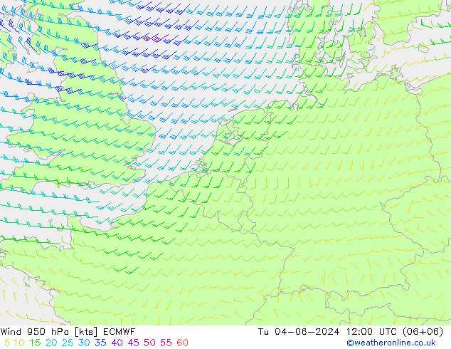 Wind 950 hPa ECMWF Di 04.06.2024 12 UTC