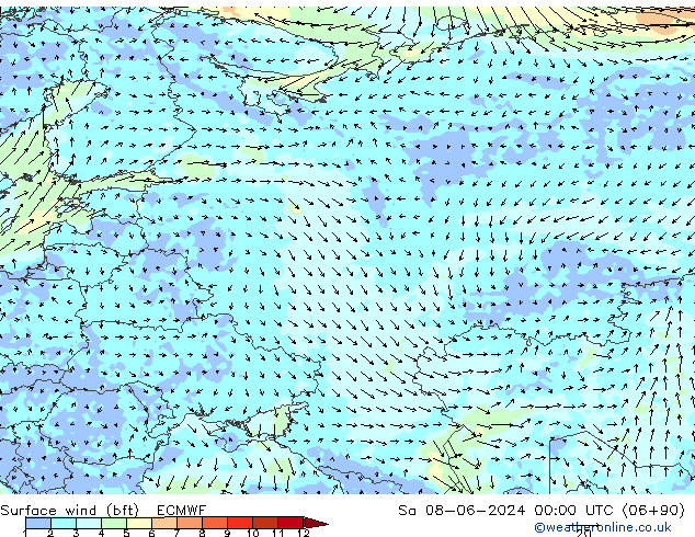  10 m (bft) ECMWF  08.06.2024 00 UTC