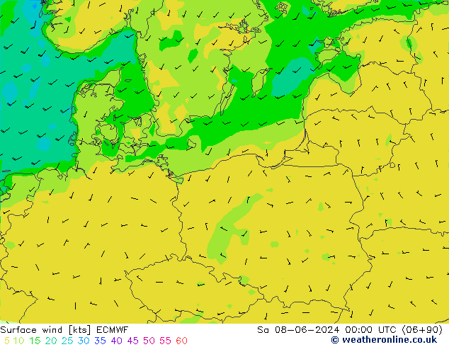 Surface wind ECMWF So 08.06.2024 00 UTC