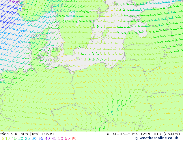 wiatr 900 hPa ECMWF wto. 04.06.2024 12 UTC